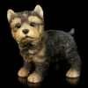 Hunde Figur - Yorkshire Terrier Welpe Stehend