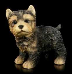 Hunde Figur - Yorkshire Terrier Welpe Stehend
