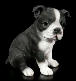 Hunde Welpen Figur - Boston Terrier