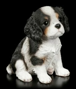 Hunde Welpen Figur - Cavalier King Charles Spaniel