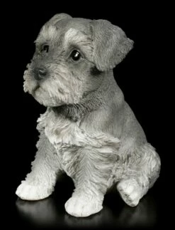Hunde Welpen Figur - Zwergschnauzer