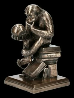 Affe Mit Schädel - Hugo Rheinhold