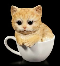 Katzen Figur - Gelbes Kätzchen In Tasse