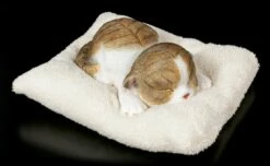 Katzen Figur Schlafend Auf Weißer Decke