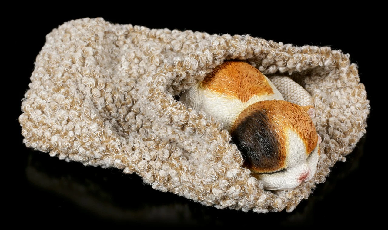 Katzen Figur Schlafend In Graue Decke Eingewickelt – Bild 3