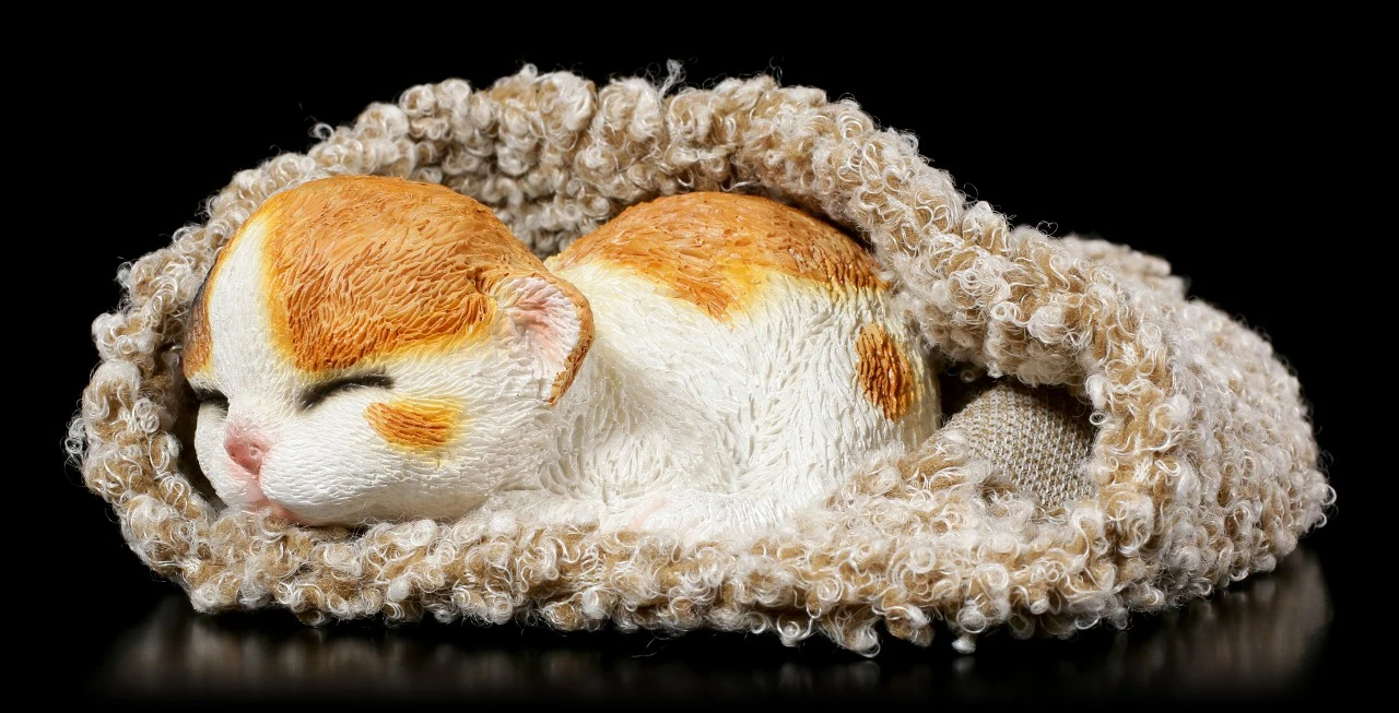 Katzen Figur Schlafend In Graue Decke Eingewickelt – Bild 6