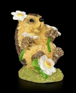 Lustige Igel Figur Mit Gänseblümchen - Blumenzauber