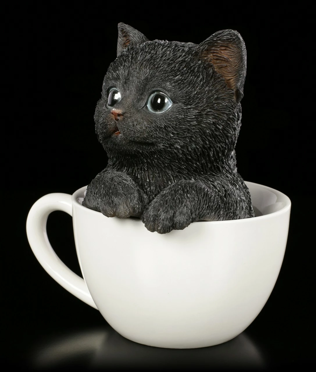 Schwarzes Kätzchen In Tasse – Bild 3