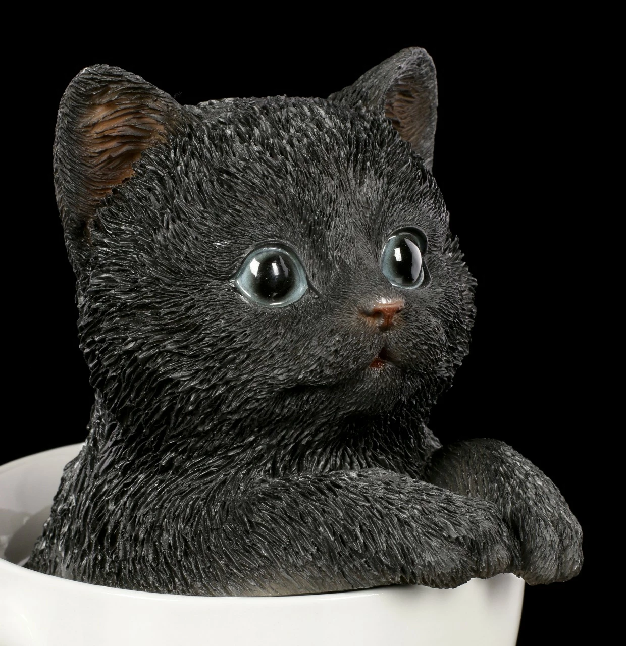 Schwarzes Kätzchen In Tasse – Bild 6