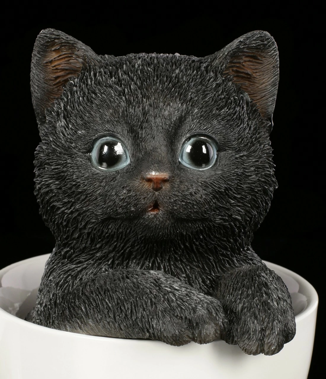 Schwarzes Kätzchen In Tasse – Bild 7