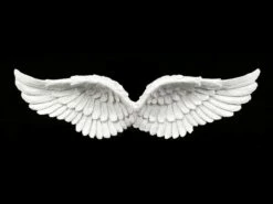 Wandrelief - Engelsflügel Mit Glitter